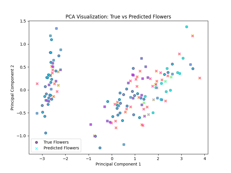 PCA Visualization
